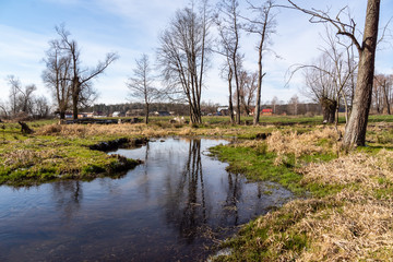 Dolina Górnej Narwi. Rzeka Mieńka. Wiosna na Podlasiu. Polska © podlaski49