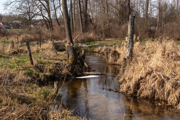 Dolina Górnej Narwi. Rzeka Mieńka. Wiosna na Podlasiu. Polska © podlaski49