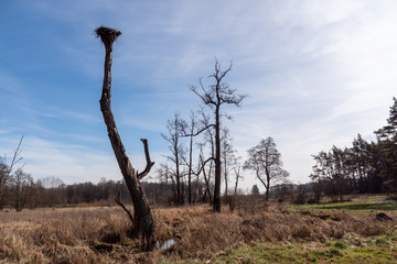 Dolina Górnej Narwi. Rzeka Mieńka. Wiosna na Podlasiu. Polska © podlaski49