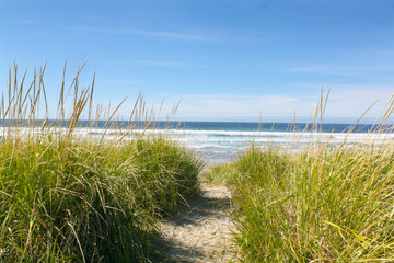 Sandy Path to the beach and sea