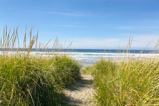 Sandy Path to the beach and sea © Lisa