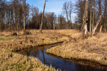 Dolina Górnej Narwi. Rzeka Mieńka. Wiosna na Podlasiu. Polska