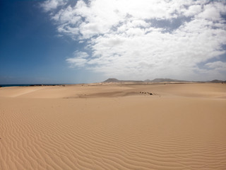 Fototapeta na wymiar Corralejo Sand Dunes, Fuerteventura, Spain, Desert in sunny day 