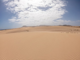 Corralejo Sand Dunes, Fuerteventura, Spain, Desert in sunny day 