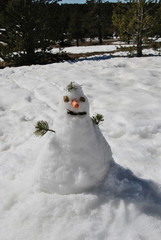 A snowman on a snowy mountain