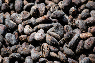 Cocoa Beans from Factory in Grenada