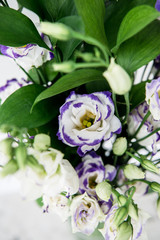 Beautiful bouquet of spring flowers in vase. Floral composition of fresh white violet eustoma flowers. Gift. Celebration concept. Blooming flowers.  
