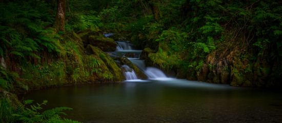 Long exposure waterfall into calm pool surrounded by ferns.