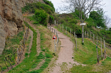 wanderweg bei bad kreuznach
