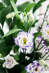 Beautiful bouquet of spring flowers in vase. Floral composition of fresh white violet eustoma flowers. Gift. Celebration concept. Blooming flowers.  