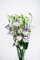 Beautiful bouquet of spring flowers in vase. Floral composition of fresh white violet eustoma flowers. Gift. Celebration concept. Blooming flowers.  