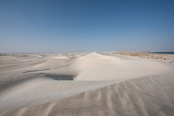 Oman The desert dunes of Wahiba Sands