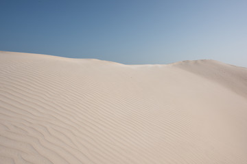 Fototapeta na wymiar Oman The desert dunes of Wahiba Sands
