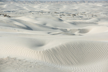 Oman The desert dunes of Wahiba Sands