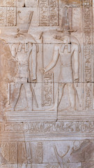 Temple of Kom Ombo. Kom Ombo is an agricultural town in Egypt famous for the Temple of Kom Ombo. It was originally an Egyptian city called Nubt, meaning City of Gold.