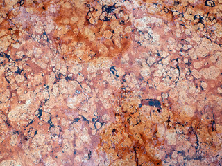Wet red marble with pink spots and dark veins. Old marble background.