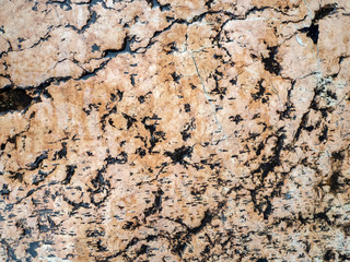 The texture of beige marble with black veins. Old marble background.