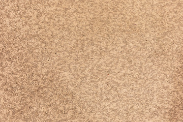 Fototapeta premium Sawdust wooden board texture
