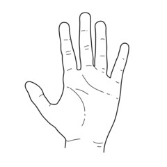 Obraz premium Hand drawn line art hand illustration.