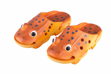 Orange frogs for children - frog