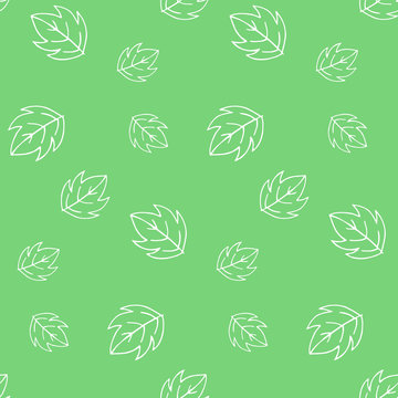 Seamless pattern of white outline leaves on a light green background. For the design of textiles, paper, notebooks, packaging