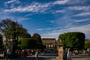 Obraz premium Pájaros volando cerca de los árboles en la Plaza de Armas de Morelia, Michoacán, México