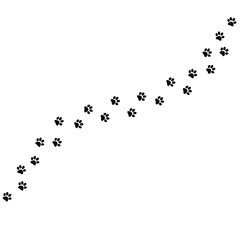 Dog, paw, sign, vector illustration