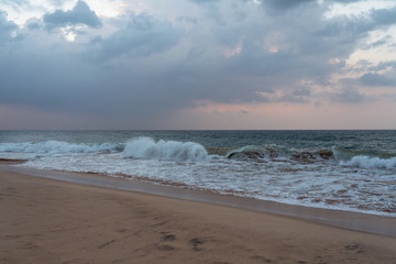 Sri Lanka ocean waves on resorts sand beach with palm tree.
