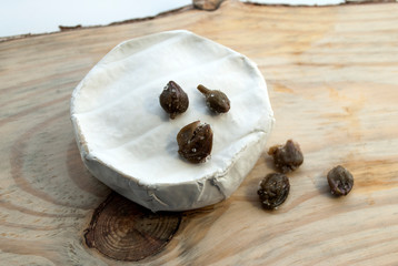 Camembert cheese and salted capers. On a wooden background. Cheese without lactose.