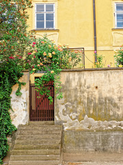Fototapeta na wymiar Old gate with flowers in house in Prague