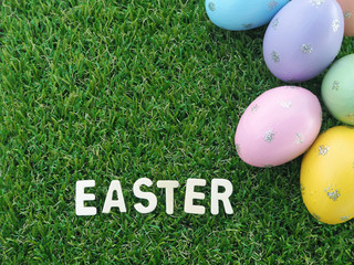 easter eggs in the grass