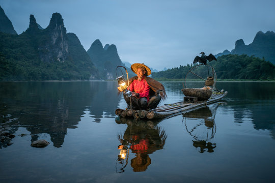 Old Chinese fisherman with cormorant on the Li river, Guilin, China