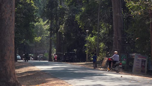 Wide Time Lapse Shot Of Traffic on a Busy Road With Trees on Both Sides with a T Junction at The End