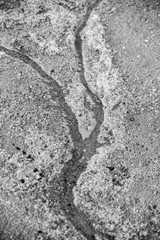 dirty stream of melted snow flows to the river