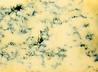 Strong Stilton cheese close up