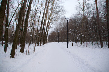 alley with lanterns in the winter Park