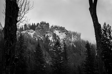 Skały w Kuźnicach  © Tomasz