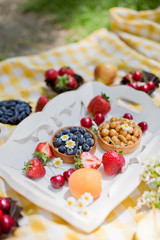 Picnic at the park. Fresh fruits and tarts with berries and nuts