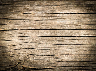 dried wood background macro