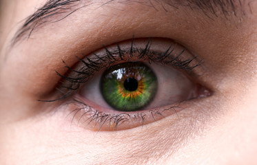 Obraz premium female green eye close-up