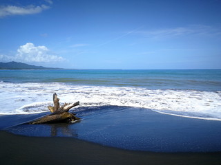 Fototapeta na wymiar Wunderschöne Brandung mit Treibholz im schwarzen Sand, Playa Negro, Costa Rica, Puerto Viejo