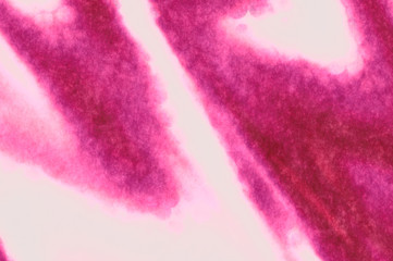 Watercolor painted background. Abstract Illustration wallpaper. Brush stroked painting. 2D Illustration.