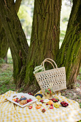 Picnic at the park. Fresh fruits and tarts on a white wooden tray, straw bag with white chamomiles