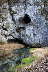 Jaskinia w Skale 