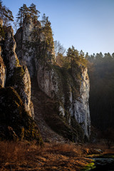 Skałki wapienne w Ojcowie © Tomasz