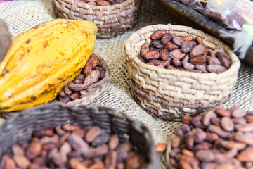 basket full of natural cocoa beans