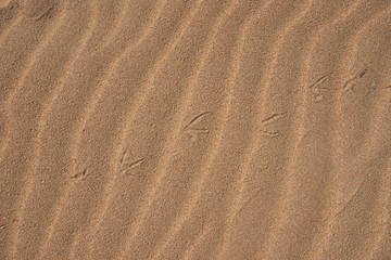 More more more sea in the life