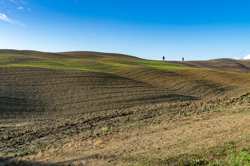 Fototapeta na wymiar Tuscany landscape at gentle sunrise light. Typical for the region tuscan hills. Italy