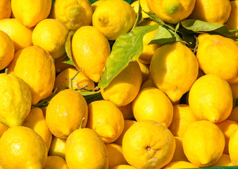 Fresh lemons on sale in a farmer's market