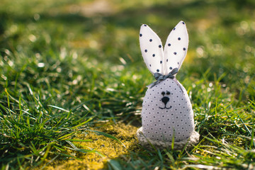 Little rabbit in green grass. Easter bunny. Easter holiday concept.